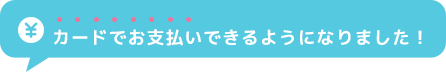 クレジットカードでお支払いいただけます